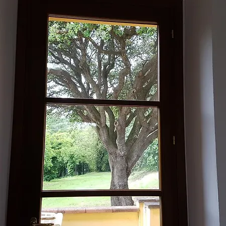 דירה Il Giardino *