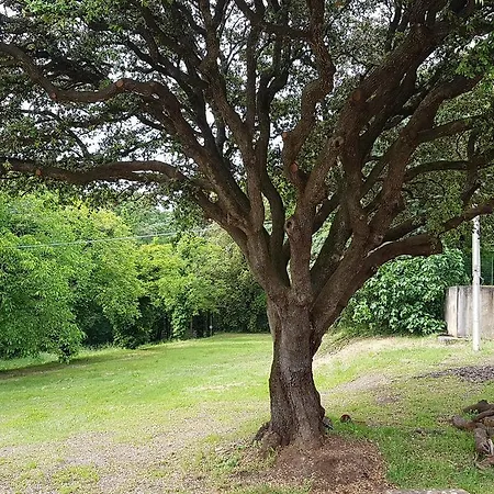 Il Giardino * Riparbella